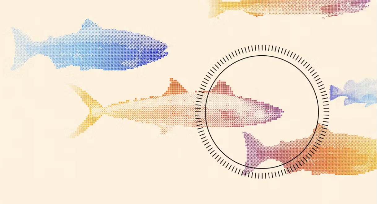 founders fund8217s outlier