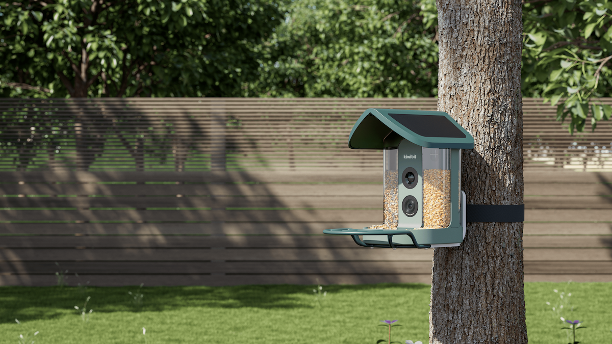 kiwibits aipowered bird