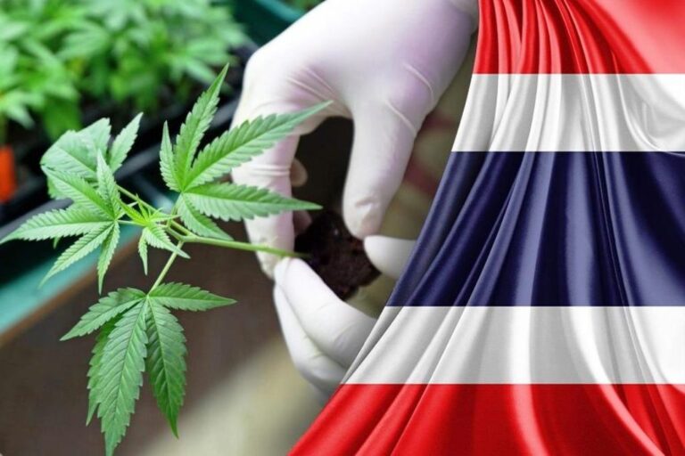 thailand cracks down