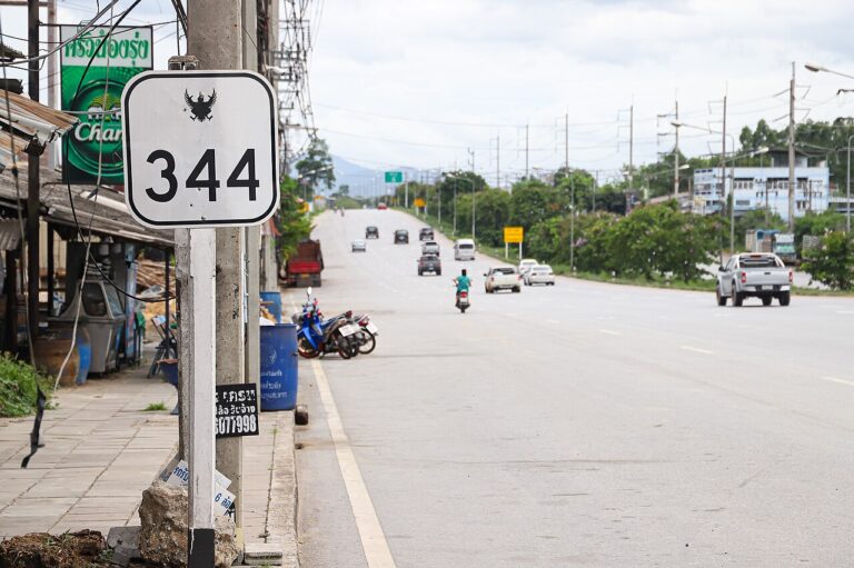 twenty road fatalities