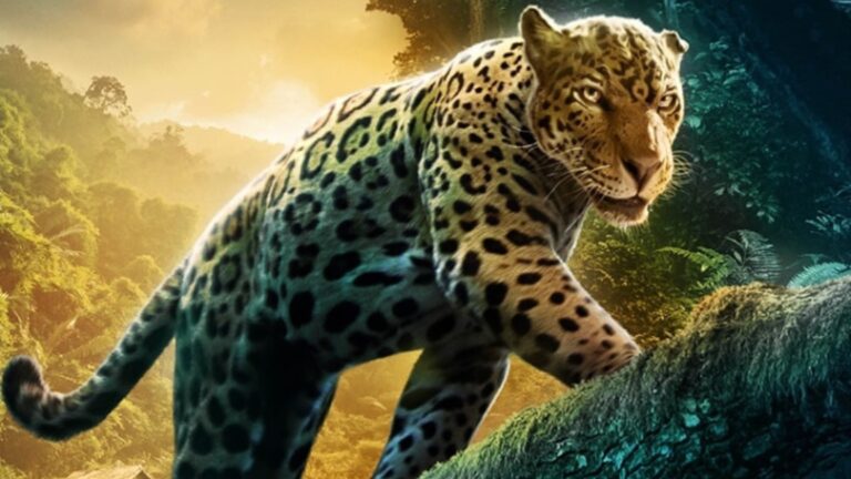 disney tried copy