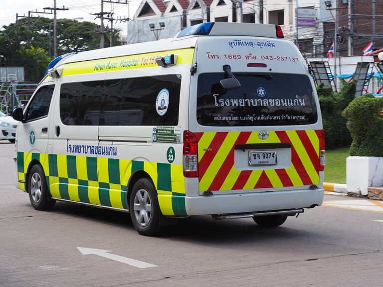 road death toll