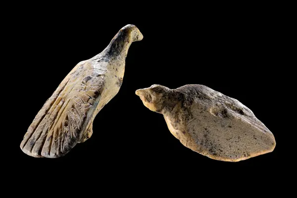 40000yearold ivory birds