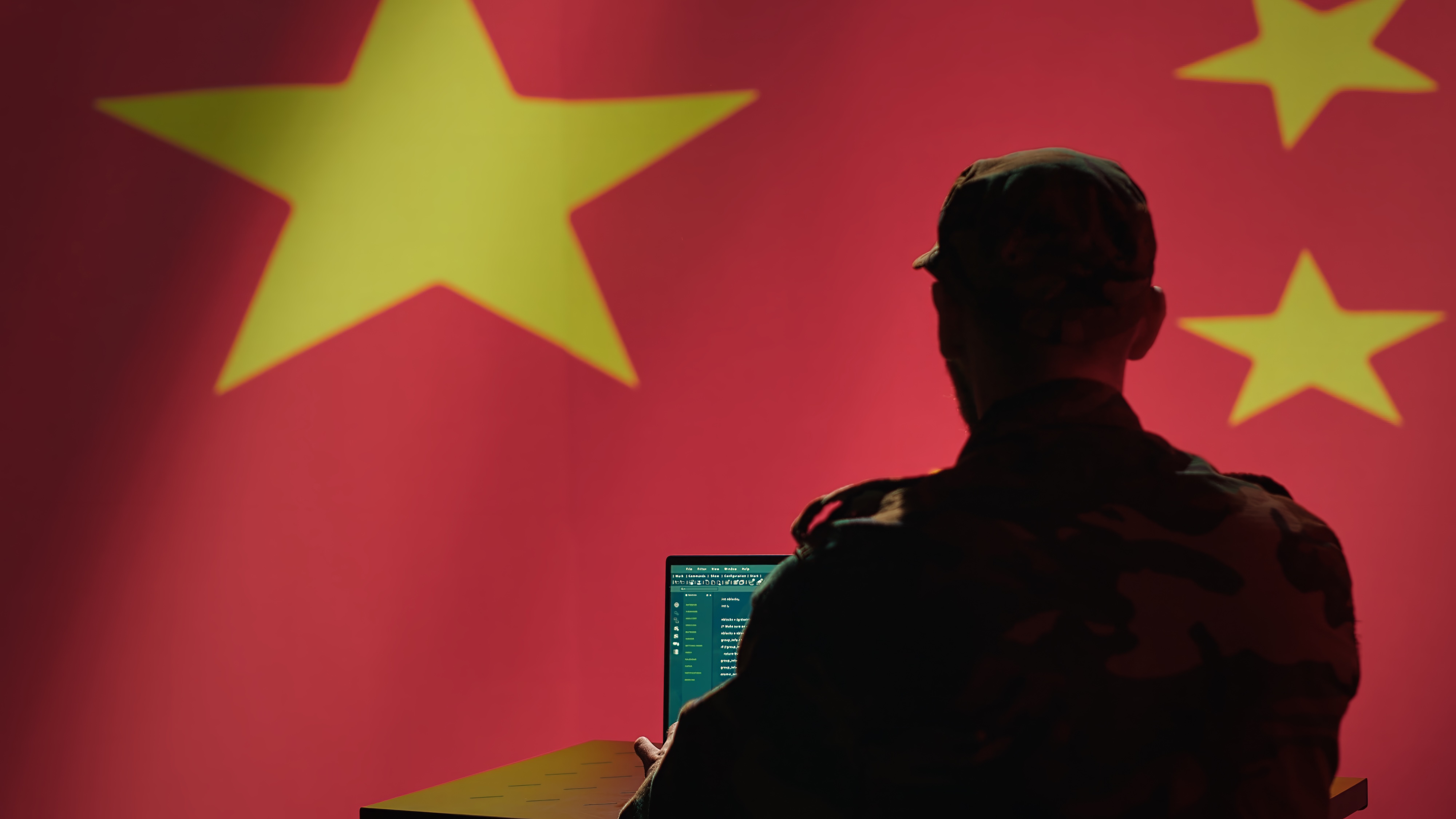 seizes domains chinese