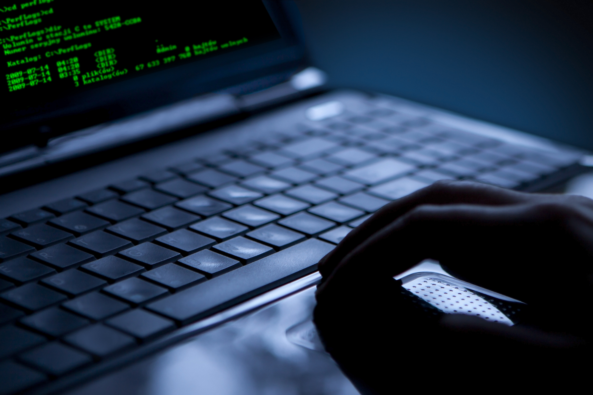 hackers hack victims