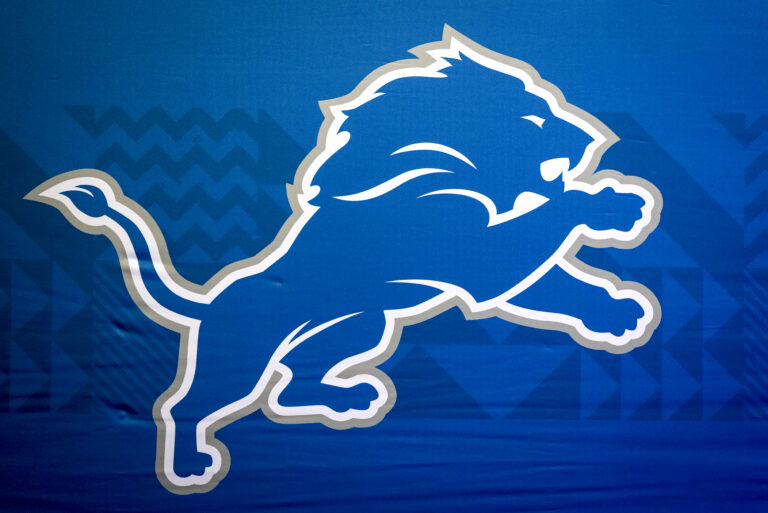 lions8217 replacement teddy