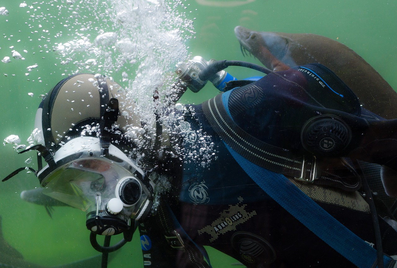 four missing divers