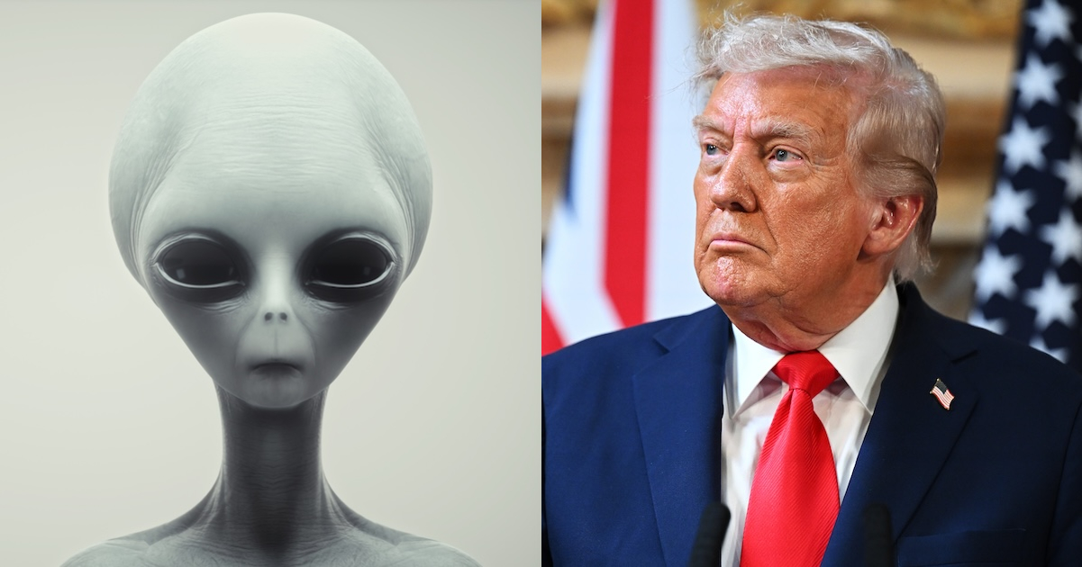 will donald trump