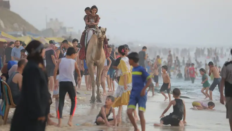 hamas agrees disarm