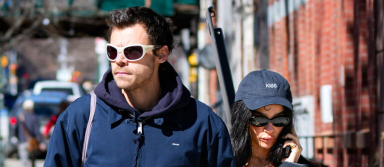 harry styles kravitz