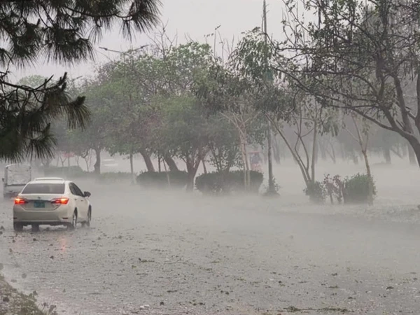 monsoon death toll