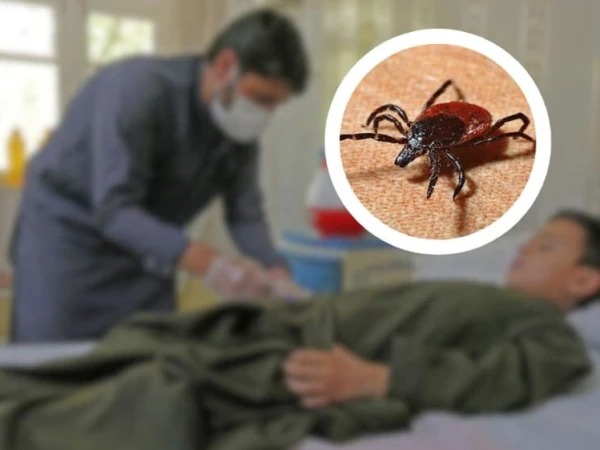 congo virus case