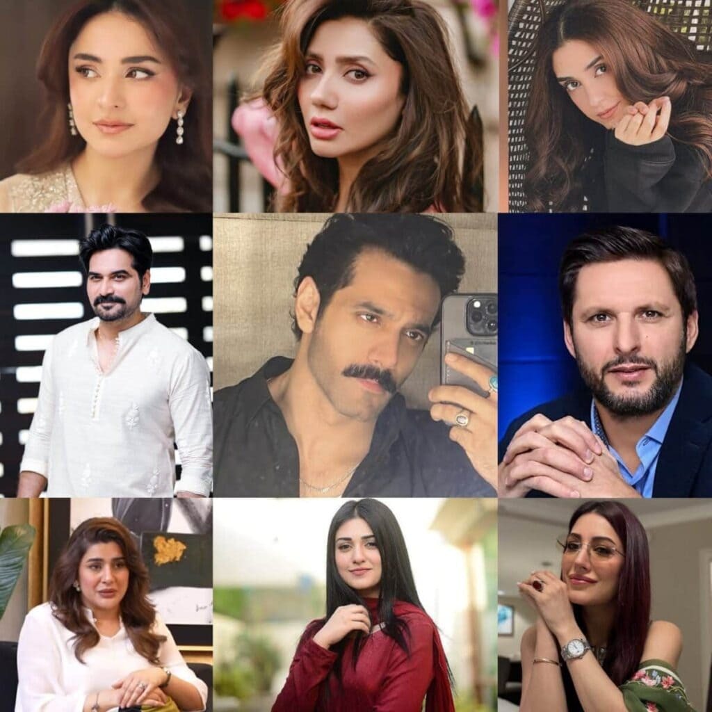 pakistani celebrities kashmir