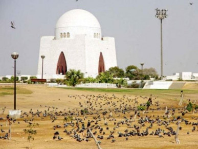 senate questions authorities
