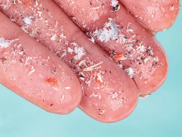 microplastics linked heart