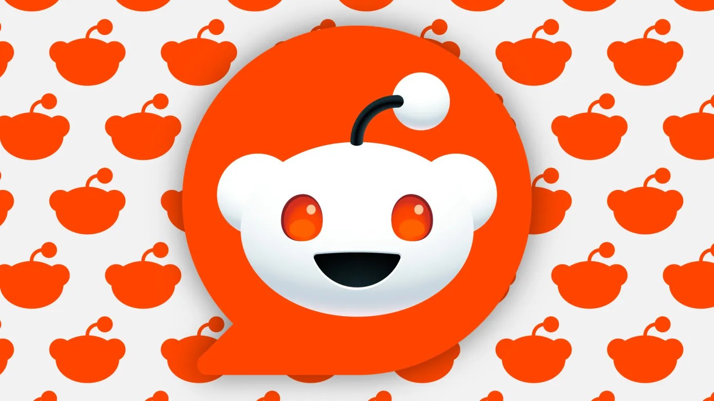 reddit reports solid