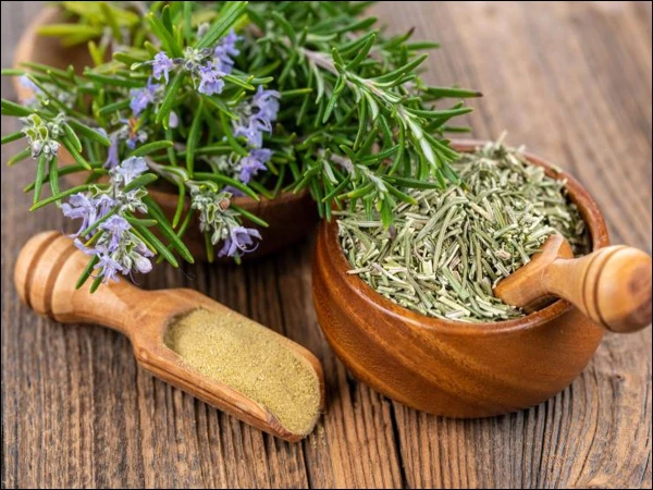 use rosemary moderation