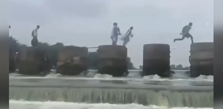 viral video highlights