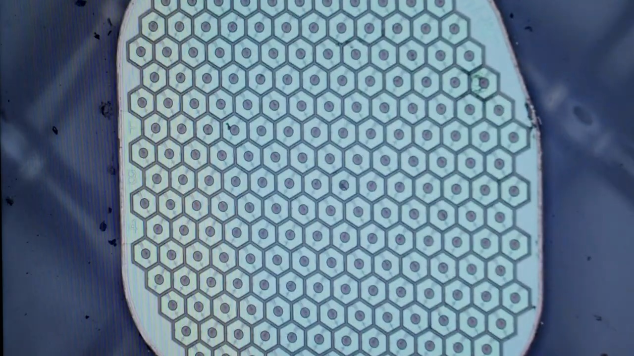 max hodaks science