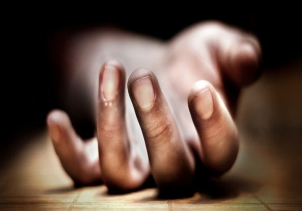 soninlaw kills wife