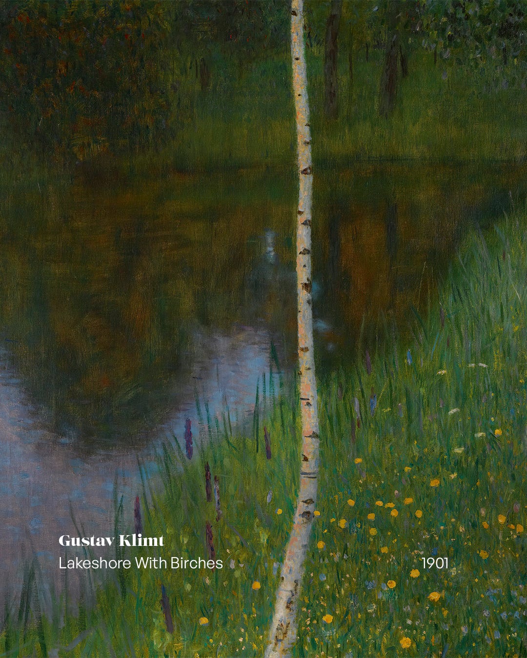gustav klimts 8220lakeshore