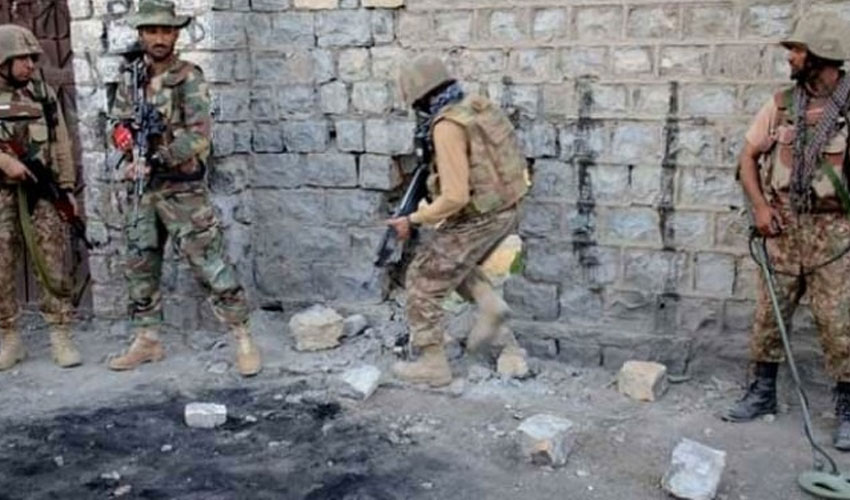punjab condemns terrorist
