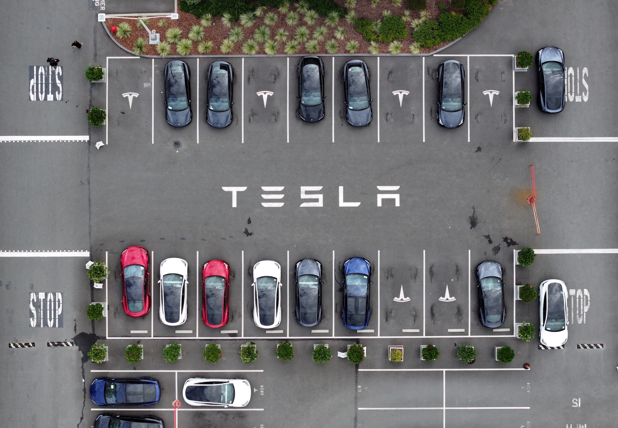 tesla settles fsd