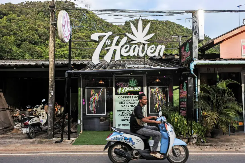 thailand cannabis crackdown