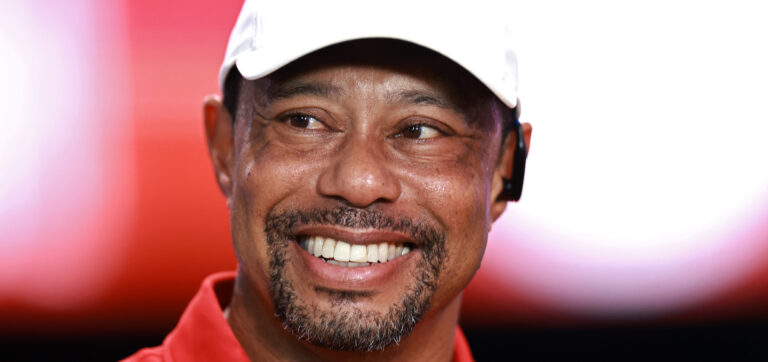 new details tiger