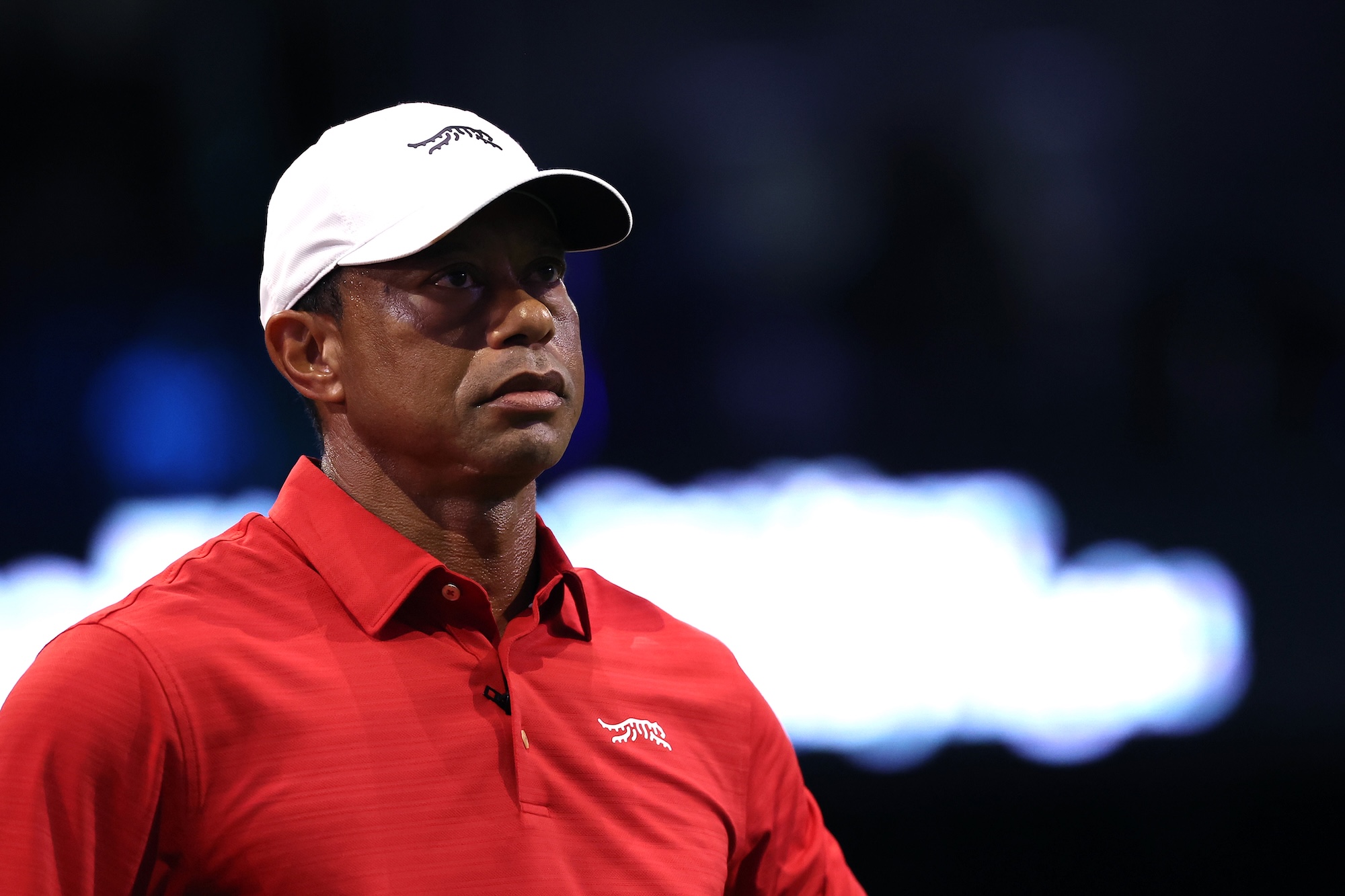 tiger woods arrested