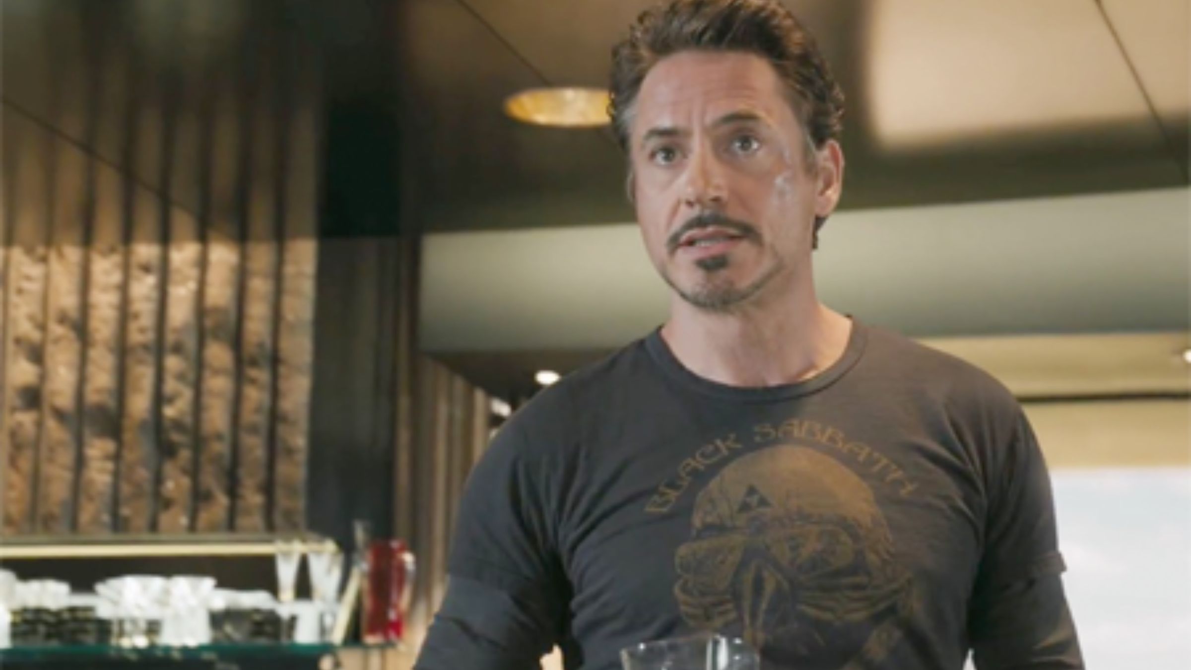 robert downey jrs