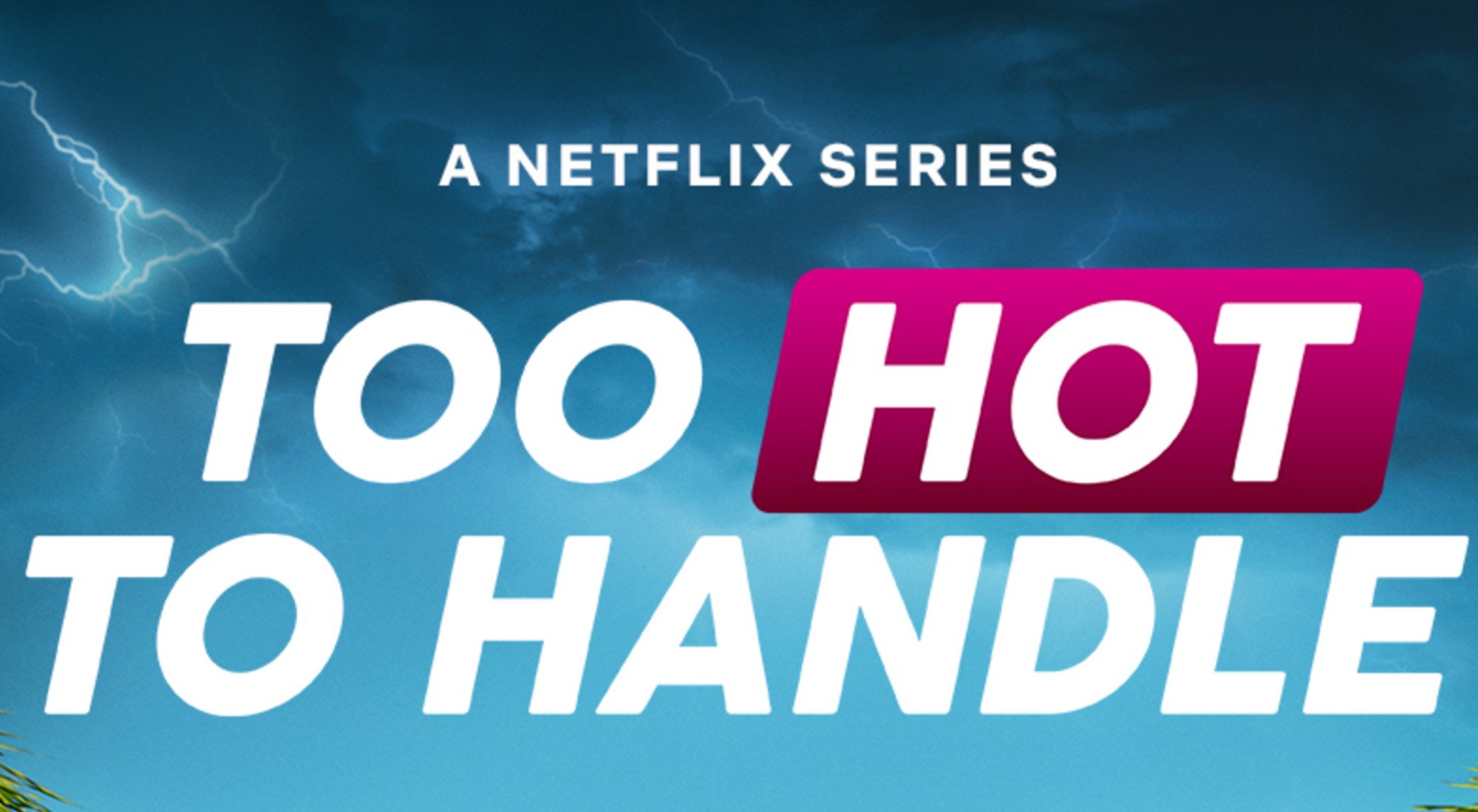 netflix reality star