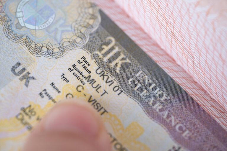 visa portal exposed