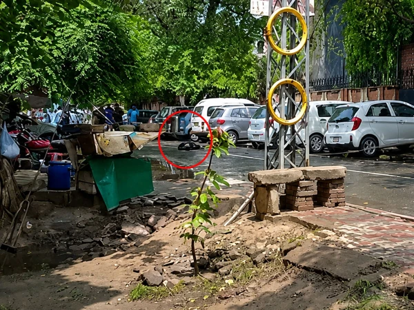 woman killed 11kv