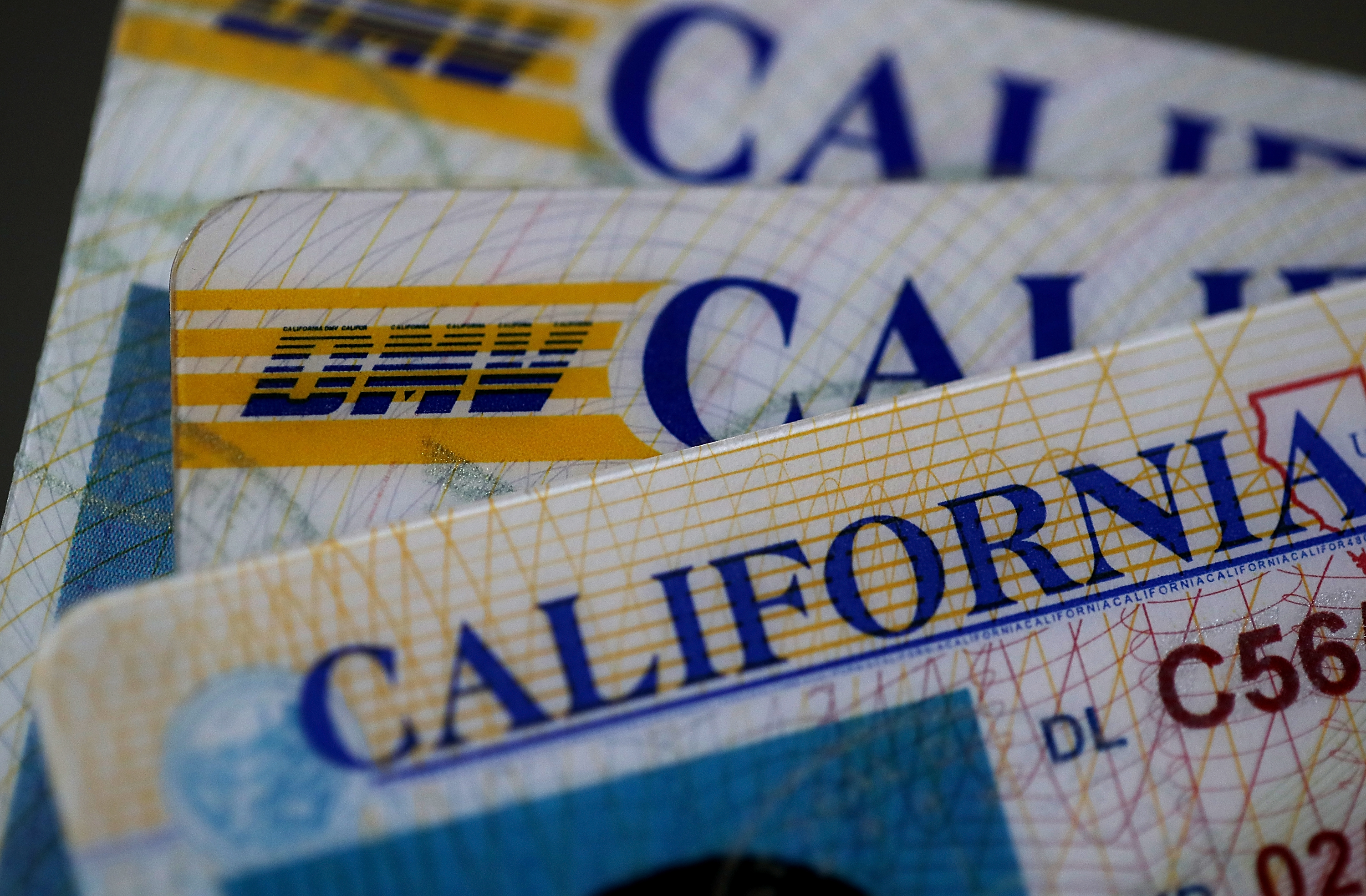 verification giant idscan