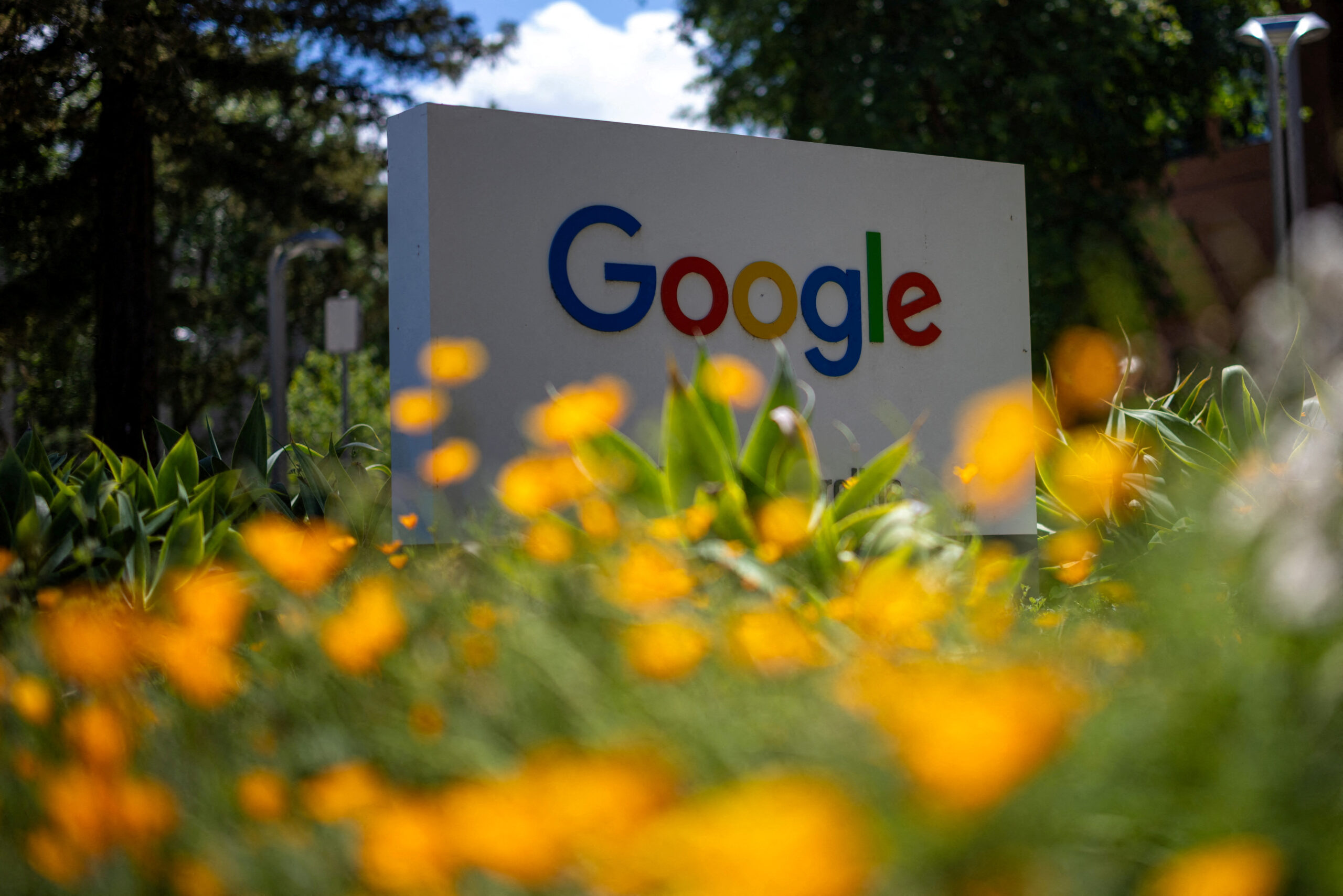 google warns lower