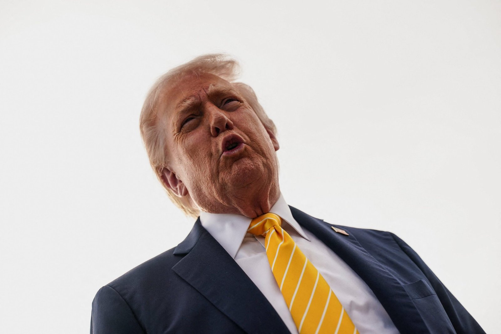 californians blast trump