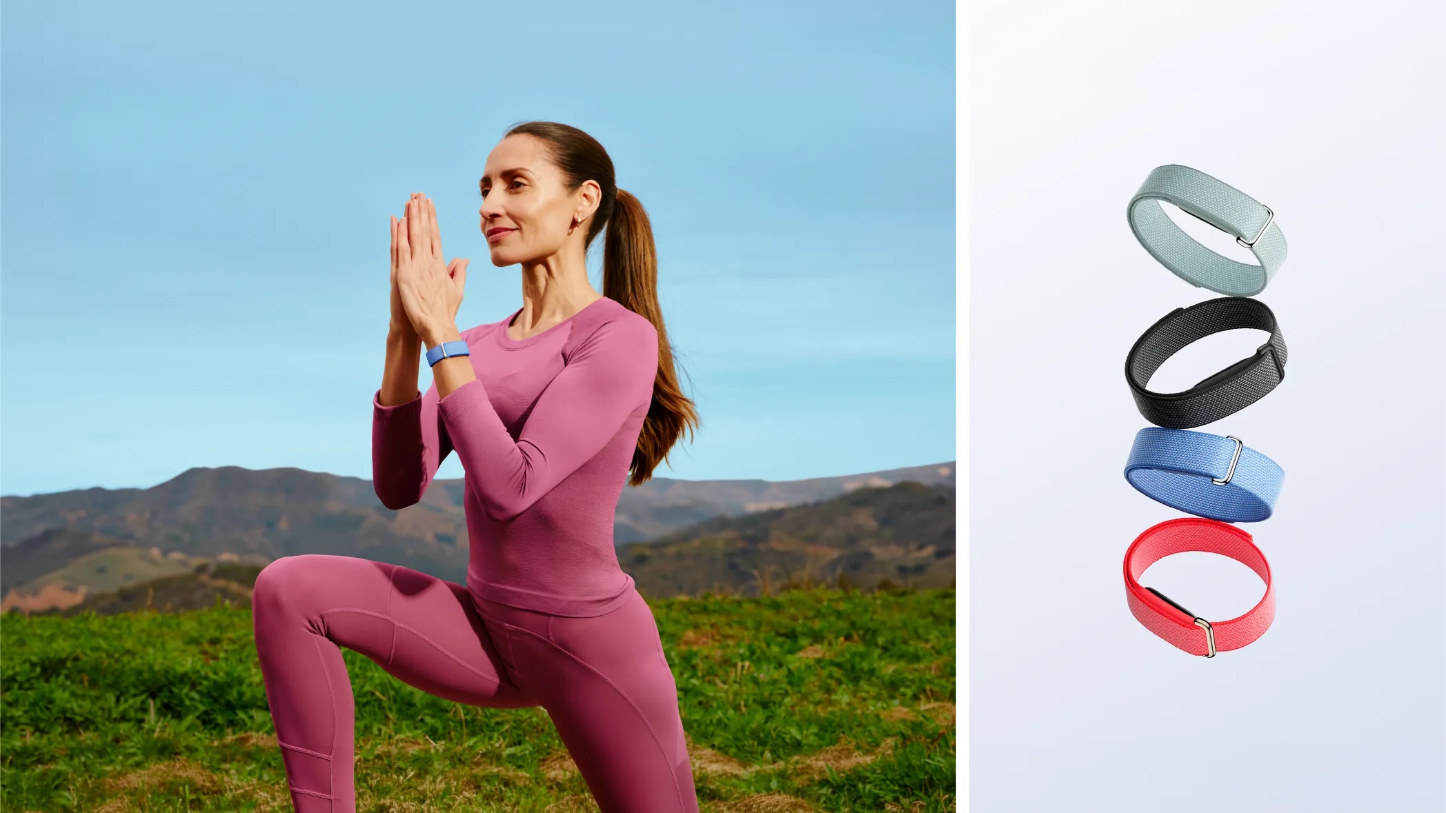 google launches fitbit