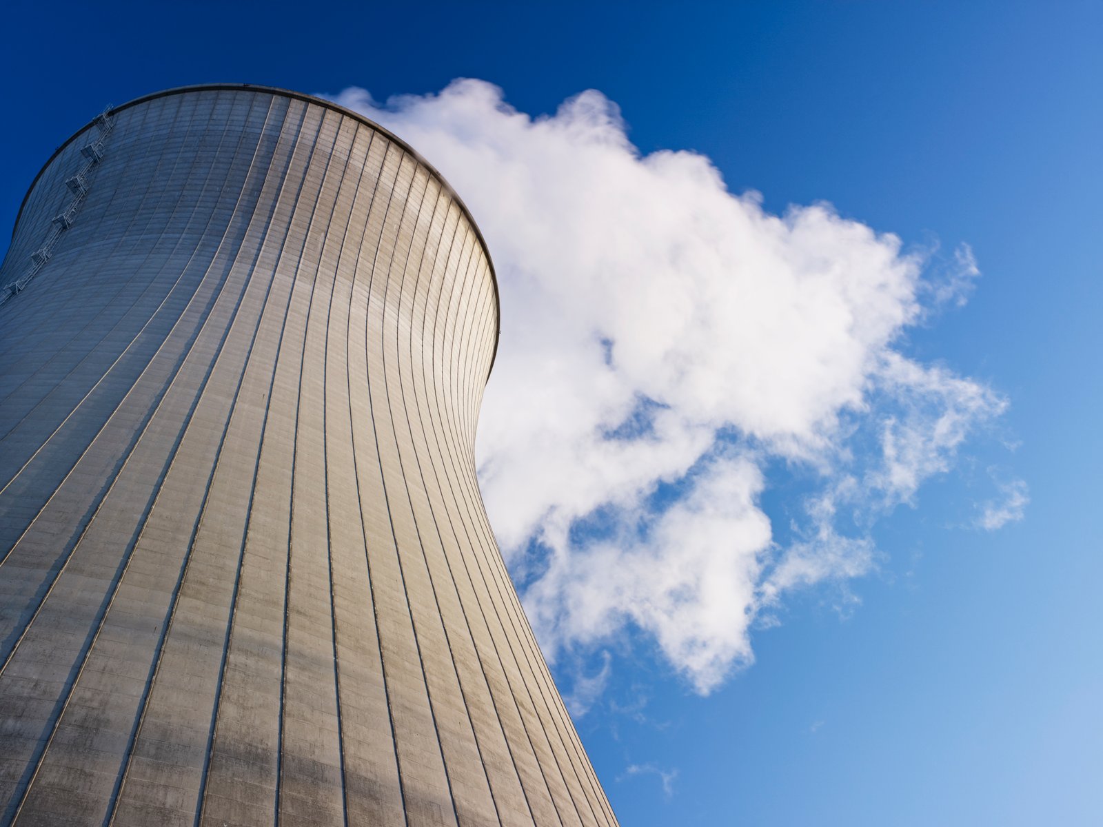 googles revived nuclear