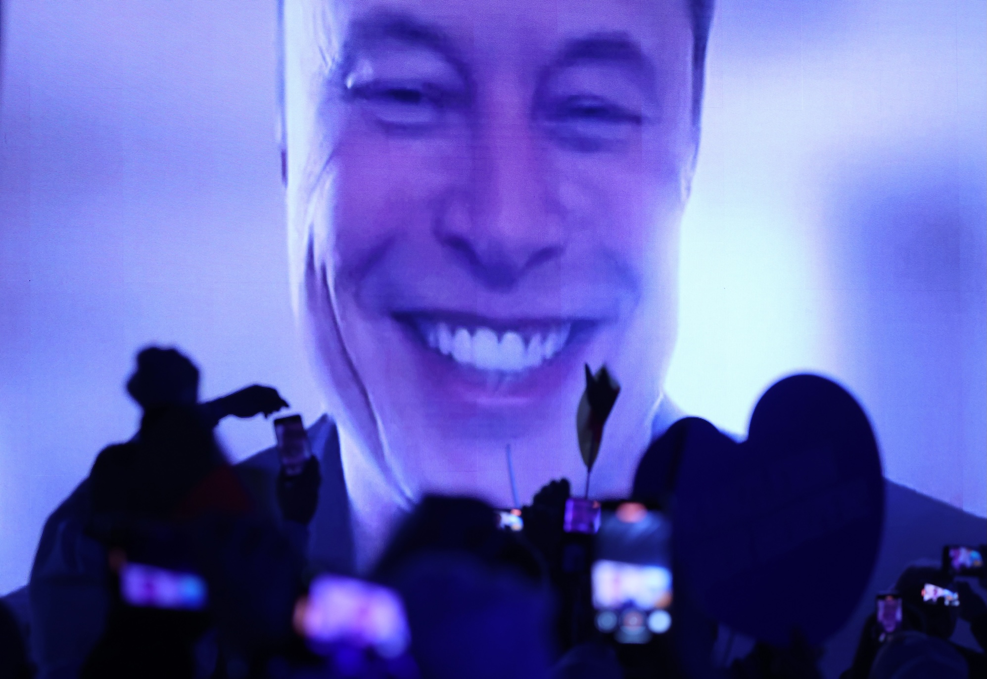 internet convinced elon