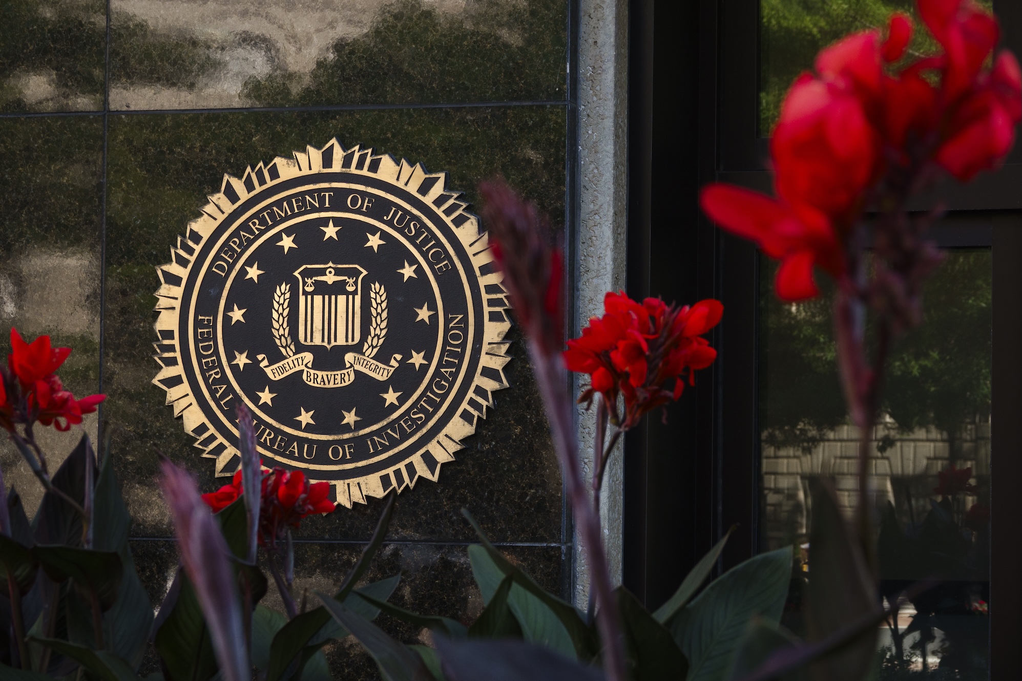 fbi reportedly declares