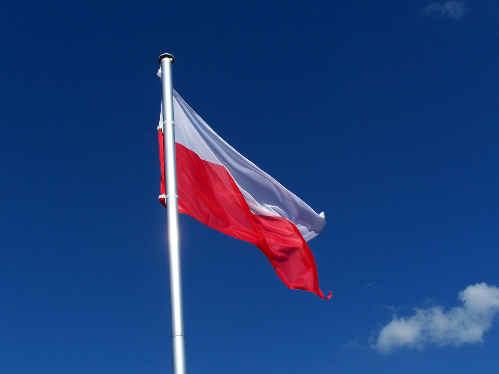poland seeks new