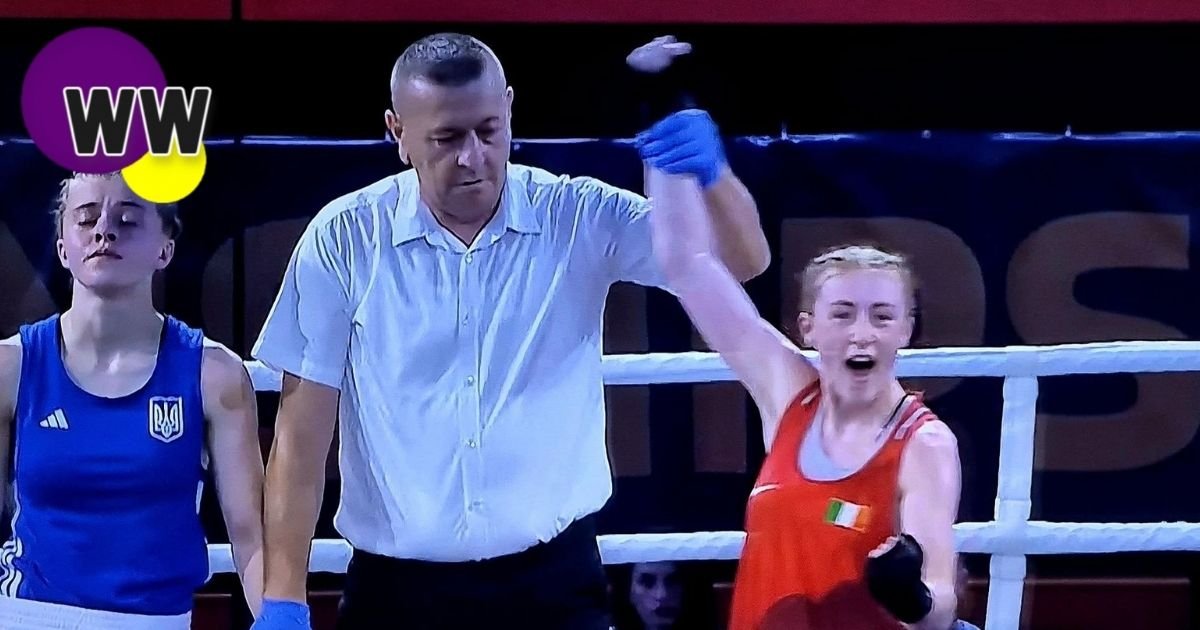 wexford boxers doing