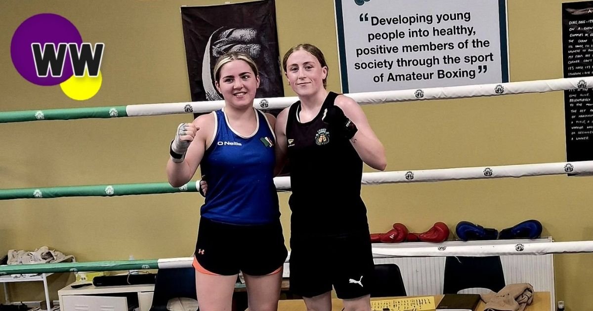 two wexford boxers