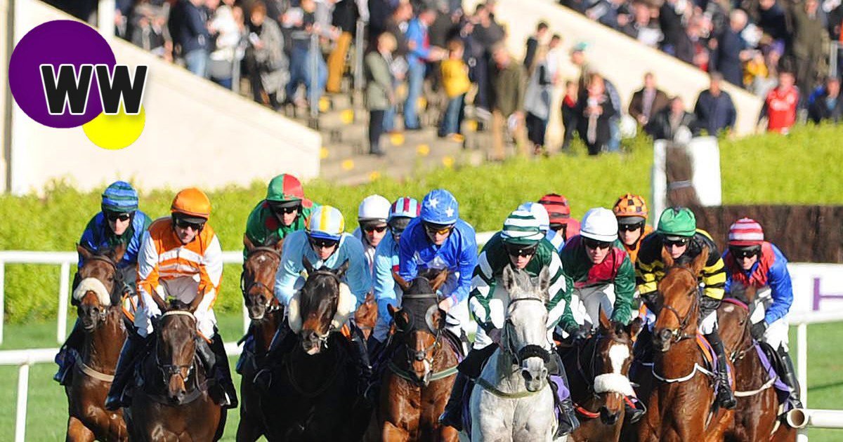 wexford racecourse preview