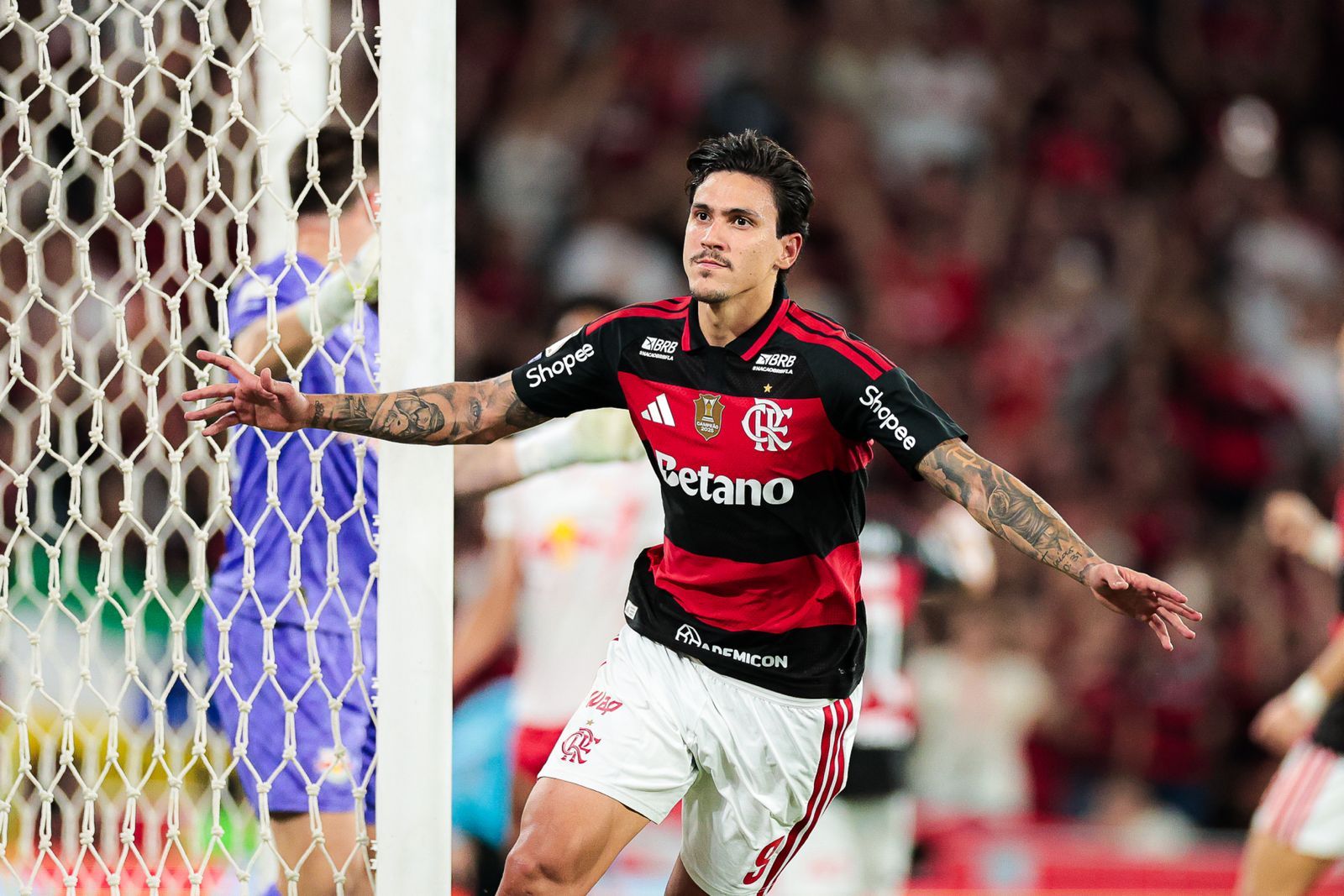 santos flamengo team