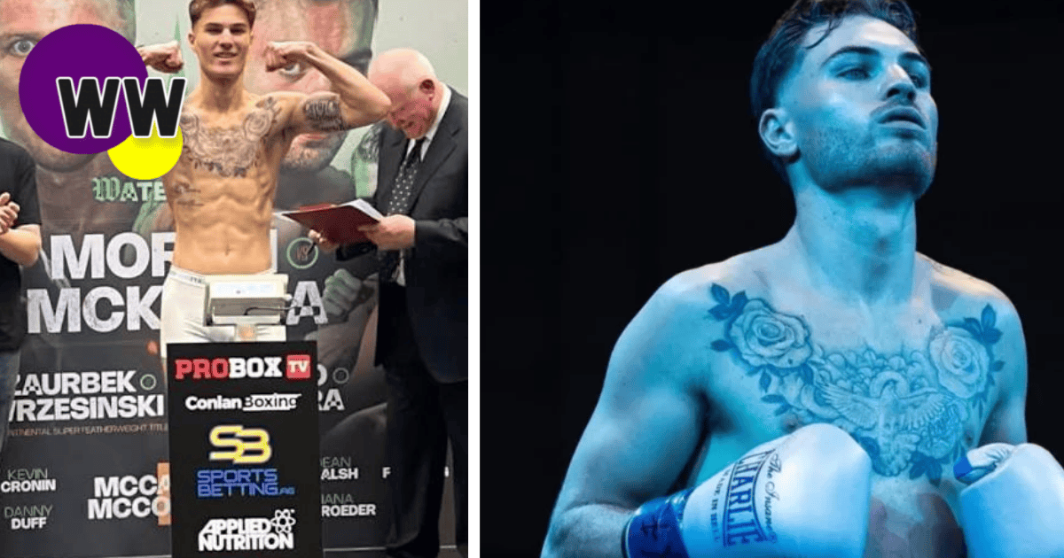 wexford boxer dean
