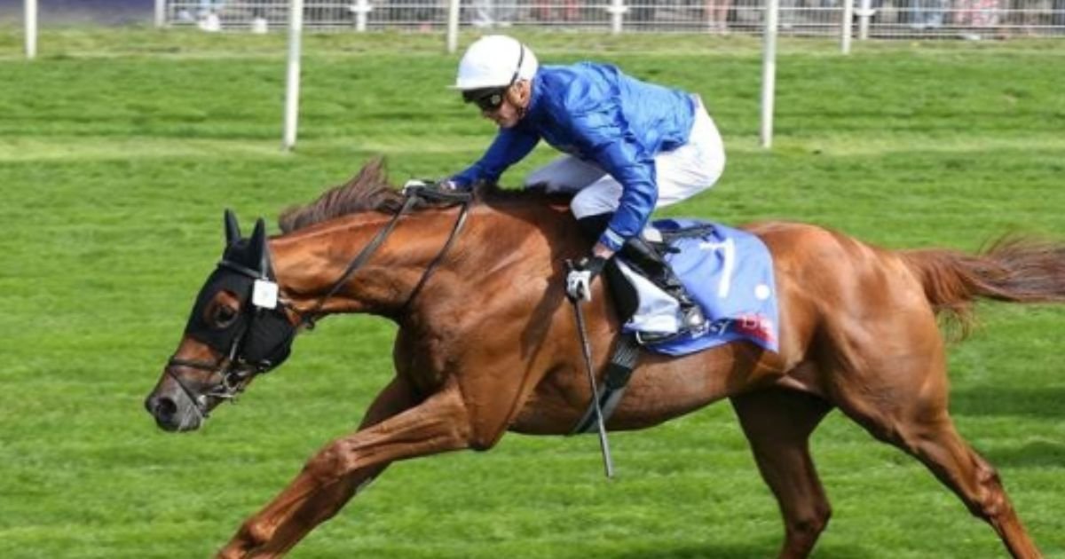wexford racecourse preview