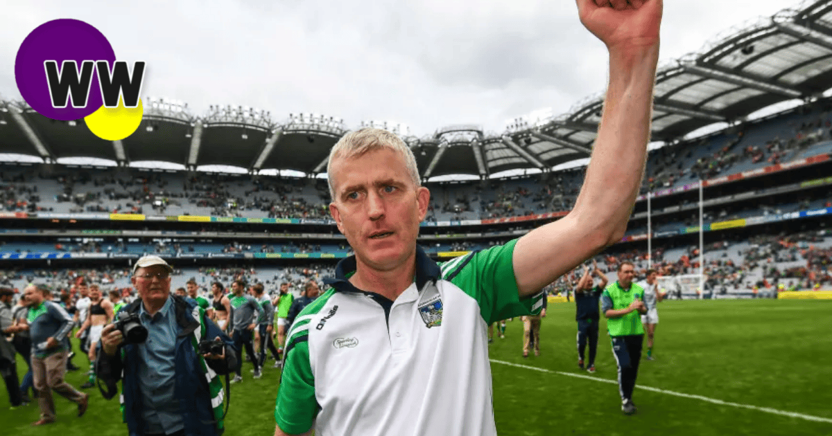 successful limerick hurling