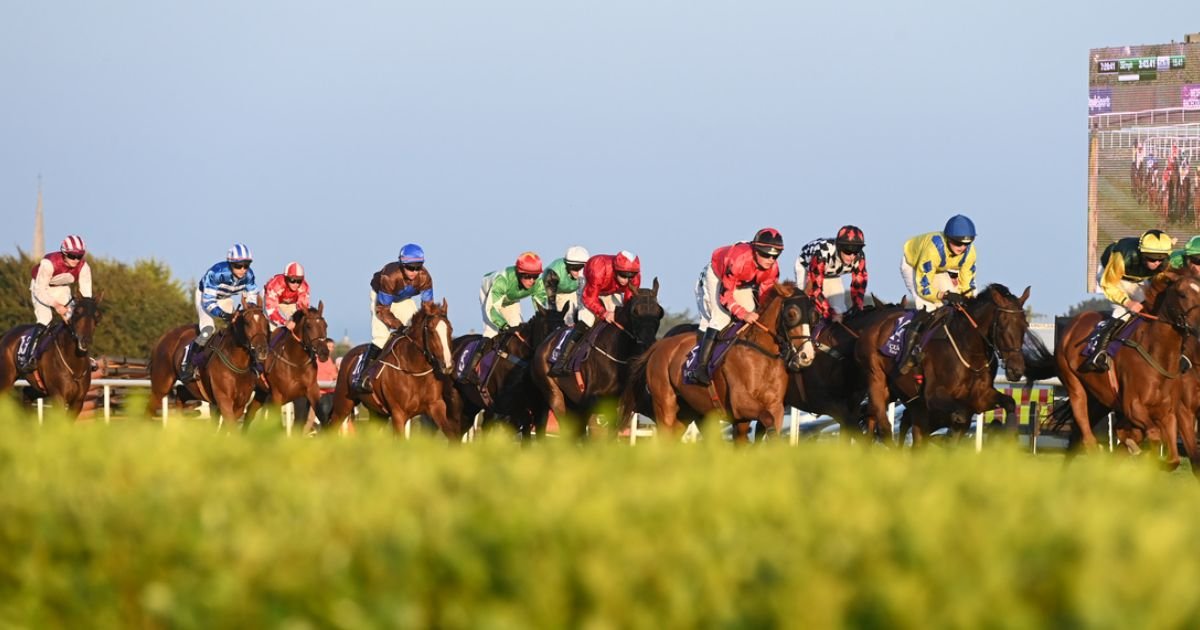 irelands love racing